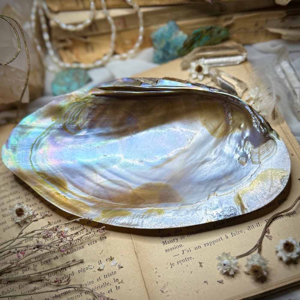 Vintage Japanese Polished High Shine Iridescent Seashell Serving Jewelry Dish